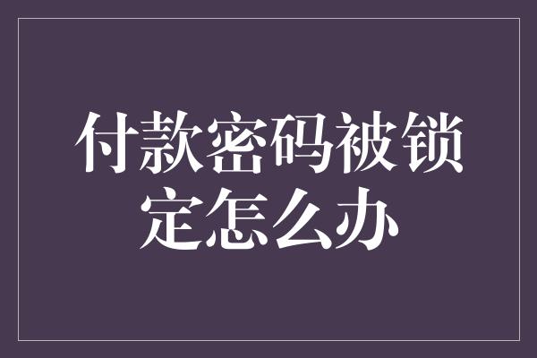 付款密码被锁定怎么办