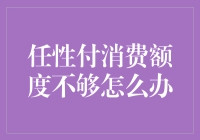 如何提升任性付消费额度以满足日常消费需求