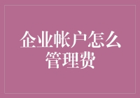 企业帐户管理费用：提升效率与优化资源的策略及技巧