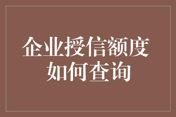 企业授信额度 如何查询