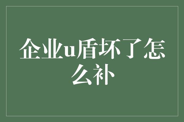 企业u盾坏了怎么补