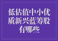 低估值中小优质新兴蓝筹股：挖掘潜力股的策略与案例