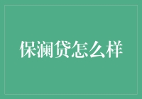 保澜贷：在线金融创新的探索与挑战解析