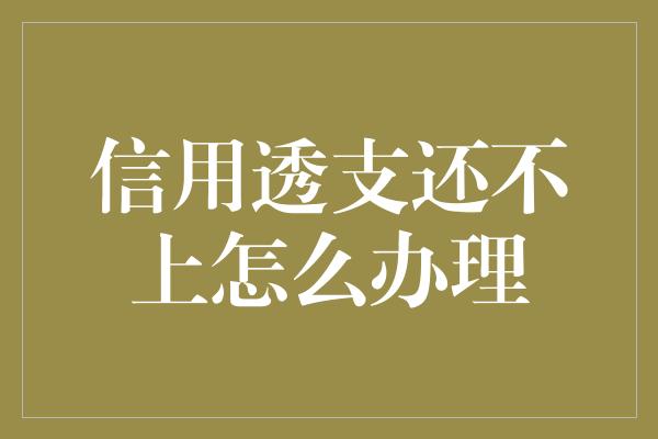 信用透支还不上怎么办理