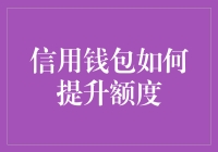 信用钱包如何提升额度：策略与技巧