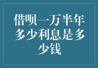 借呗一万半年利息：借贷便捷背后的代价