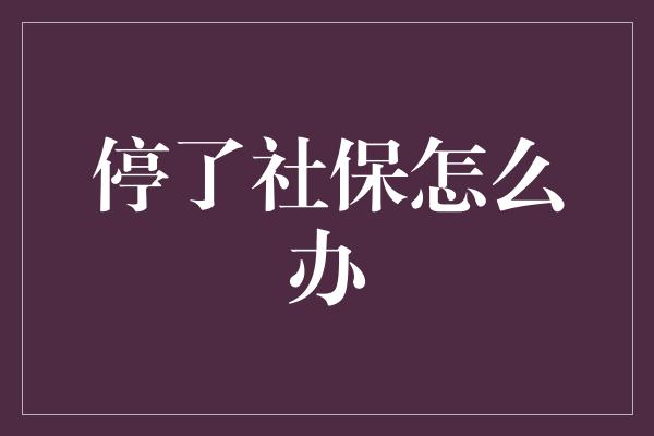 停了社保怎么办