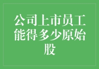 公司上市员工原始股收益深度解析：打造员工财富增长的新引擎