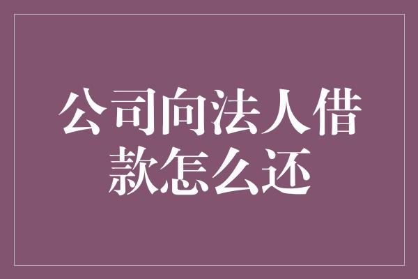 公司向法人借款怎么还