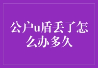 公户U盾丢失：突发状况下的紧急应对策略