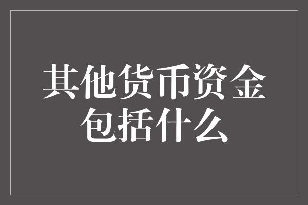 其他货币资金包括什么