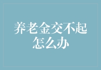 养老金交不起怎么办：创新思维与对策分析