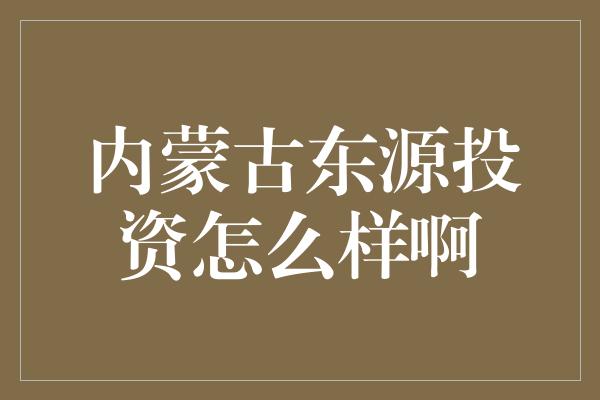 内蒙古东源投资怎么样啊