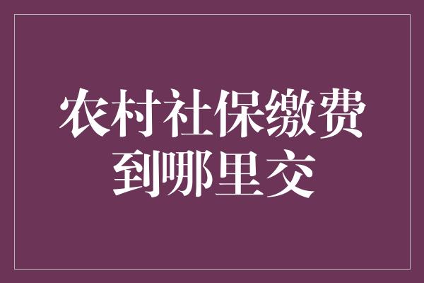 农村社保缴费到哪里交