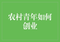 农村青年如何利用本地资源与现代科技实现创业梦想