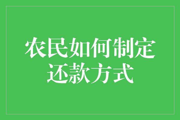 农民如何制定还款方式