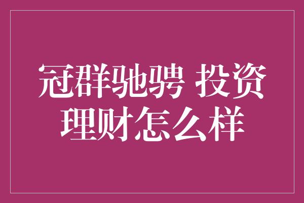 冠群驰骋 投资理财怎么样