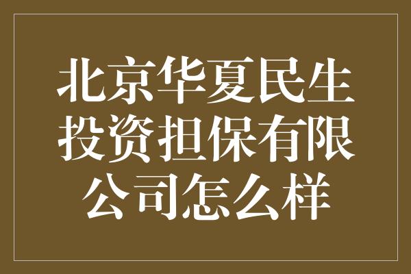 北京华夏民生投资担保有限公司怎么样