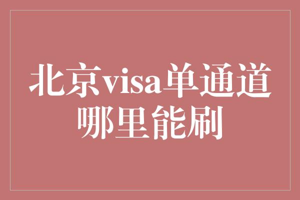 北京visa单通道哪里能刷