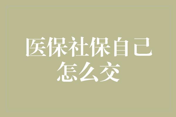 医保社保自己怎么交