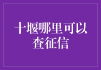 十堰人民的征信查询秘籍：寻找你隐藏的小秘密