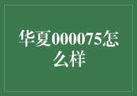 华夏000075：从股票代码到千年虫的奇妙旅行