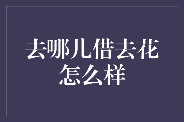 去哪儿借去花怎么样