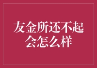 友金所借贷逾期后果：信用受损与法律后果