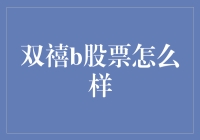 双禧b股票：机遇与风险并存的资本市场产品