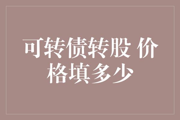 可转债转股 价格填多少