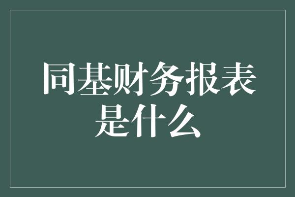 同基财务报表是什么