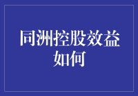 同洲控股效益分析：多元化的商业策略与卓越的行业表现