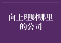 向上理财：企业风险管理中的关键角色