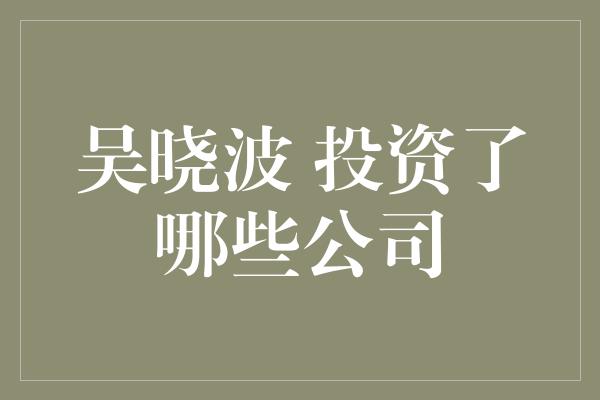 吴晓波 投资了哪些公司