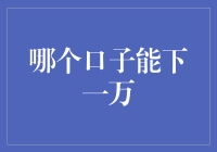 从一万起航：探索个人金融口子的智慧选择