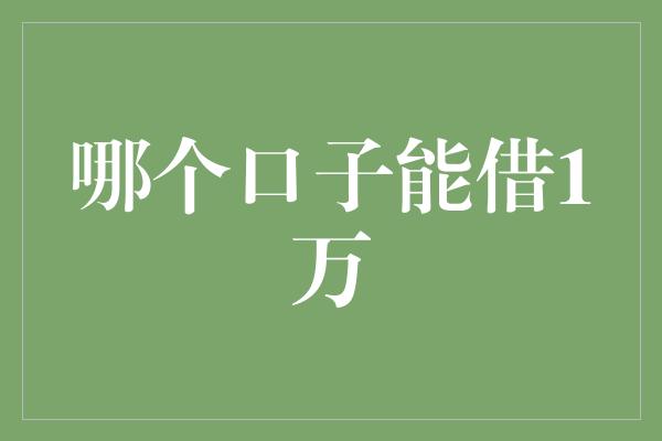 哪个口子能借1万