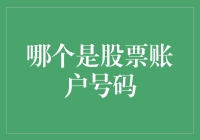 投资者如何识别并保护自己的股票账户号码？一份全面指南