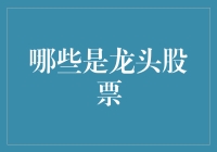 从龙头股票中洞察行业趋势：哪些股票具备领导力？