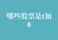 T+0交易机制下哪些股票适合买入：深度解析与投资策略