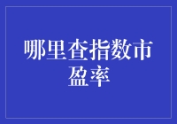 指数市盈率查询攻略：专业投资者必备指南