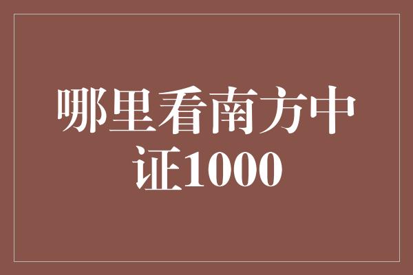 哪里看南方中证1000