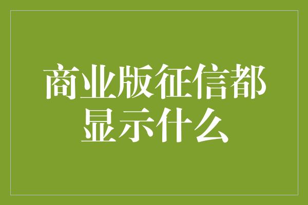 商业版征信都显示什么