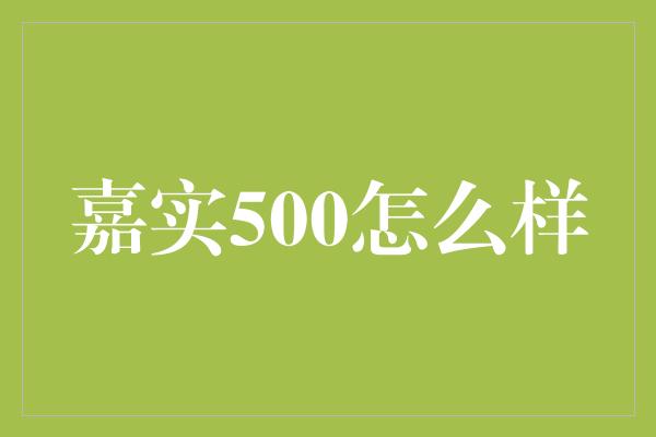 嘉实500怎么样