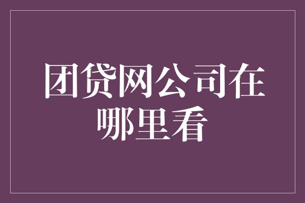 团贷网公司在哪里看