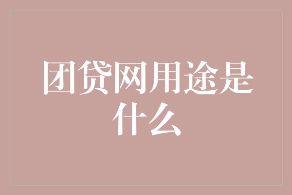 团贷网用途是什么