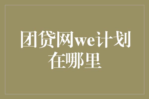 团贷网we计划在哪里