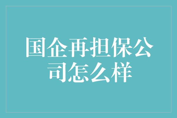 国企再担保公司怎么样