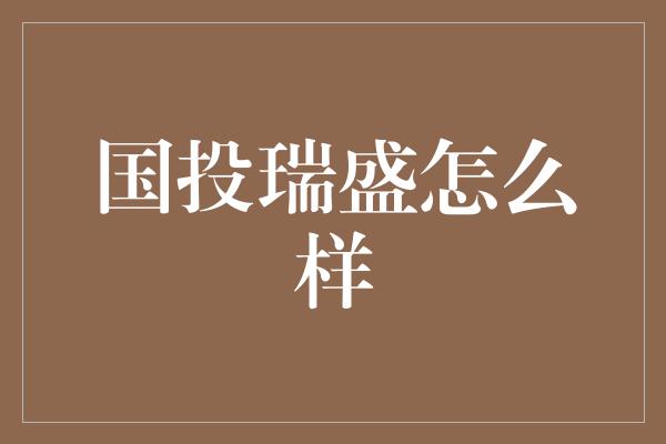 国投瑞盛怎么样