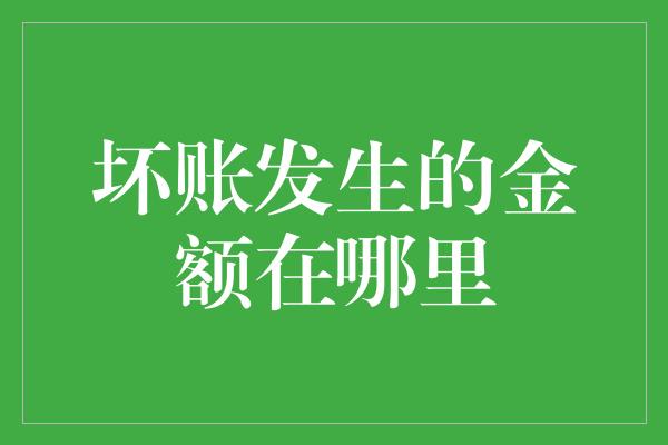 坏账发生的金额在哪里