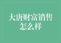 大唐财富销售的多维度解析与市场适应性分析